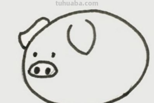 画可爱小猪的简单画法