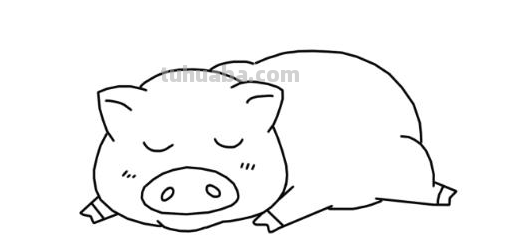 猪猪怎么画简单可爱