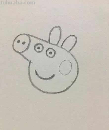 小猪简单画法