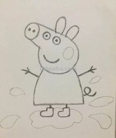 小猪简单画法