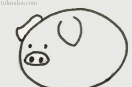 小猪怎么画简笔画