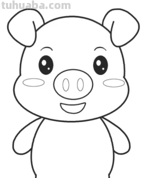 小猪怎么画