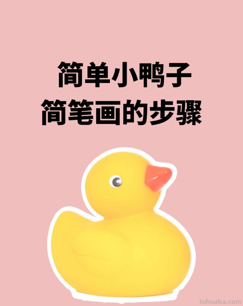 简单小鸭子简笔画的步骤