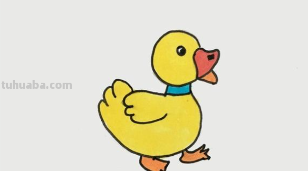 小鸭子简单画法可爱