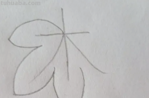 树叶怎么画简笔画