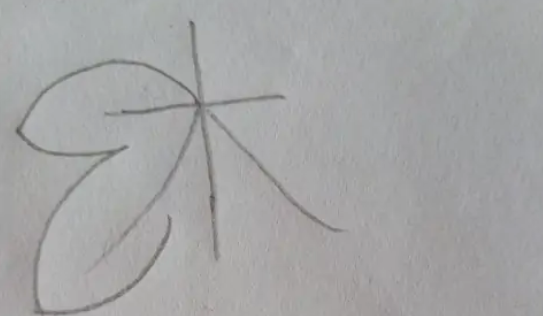 树叶怎么画简笔画