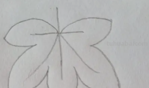 树叶怎么画简笔画