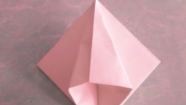 读书卡里面的花怎么折 怎么用卡纸叠花? 读书卡里面的花怎么折 怎么用卡纸叠花?