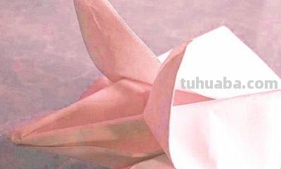 读书卡里面的花怎么折 怎么用卡纸叠花? 读书卡里面的花怎么折 怎么用卡纸叠花?
