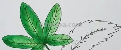小树叶怎么画
