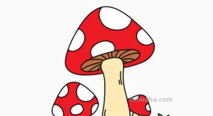 蘑菇怎么画简笔画图片