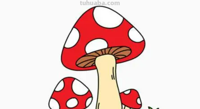 蘑菇怎么画简笔画图片