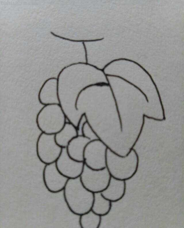 15种常见水果简笔画，一学就会