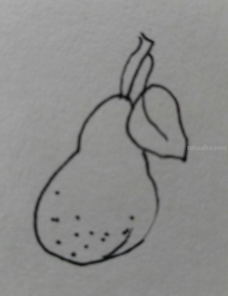 15种常见水果简笔画，一学就会