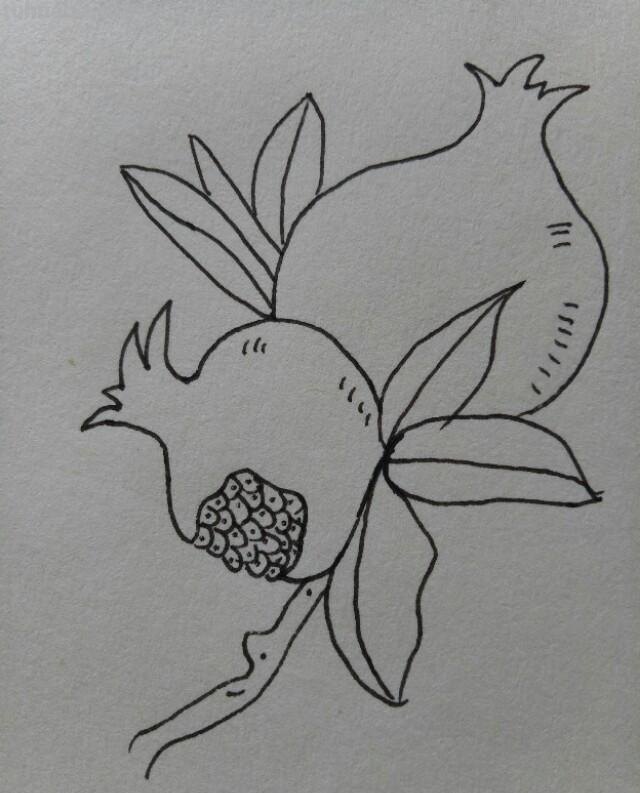 15种常见水果简笔画，一学就会