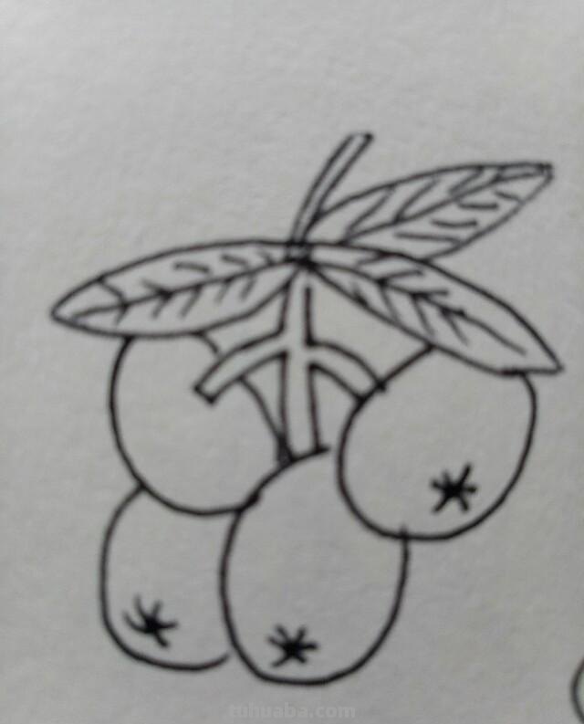 15种常见水果简笔画，一学就会