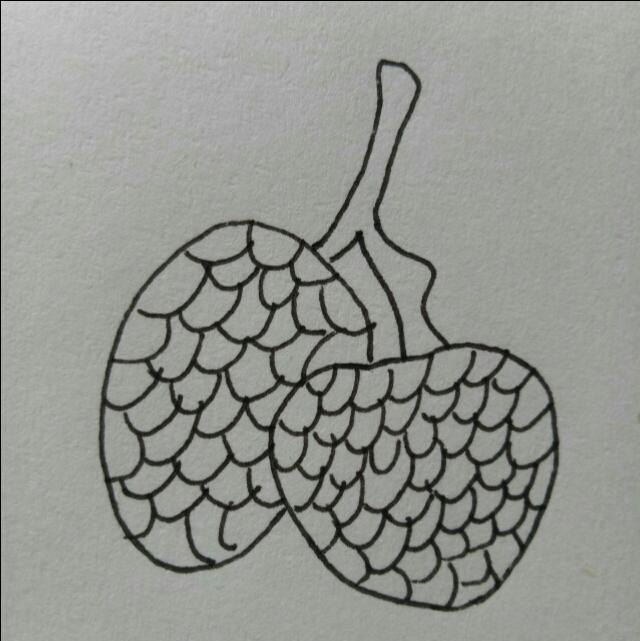 15种常见水果简笔画，一学就会