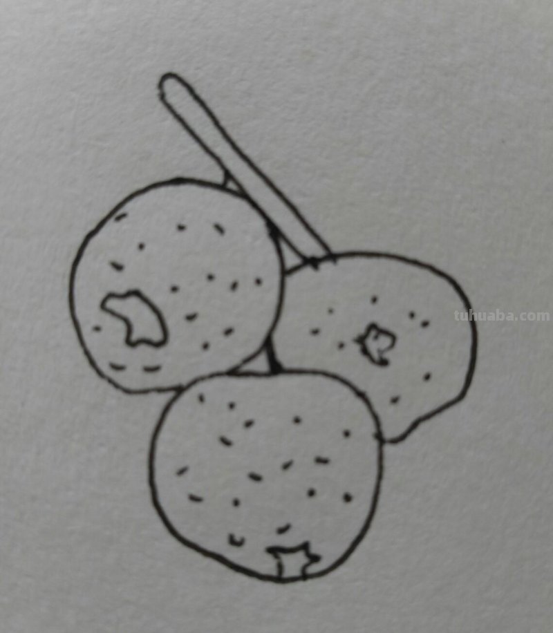 15种常见水果简笔画，一学就会