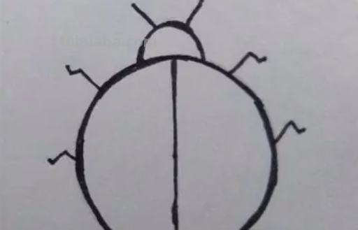 七星瓢虫怎么画简笔画