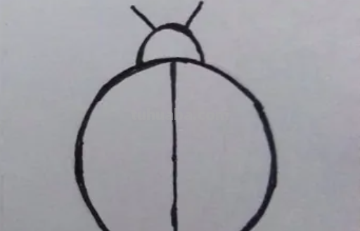 七星瓢虫怎么画简笔画
