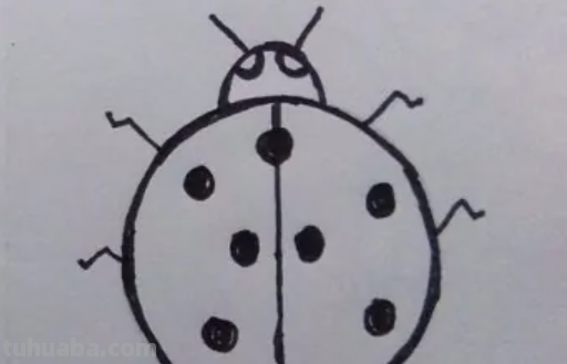 七星瓢虫怎么画简笔画