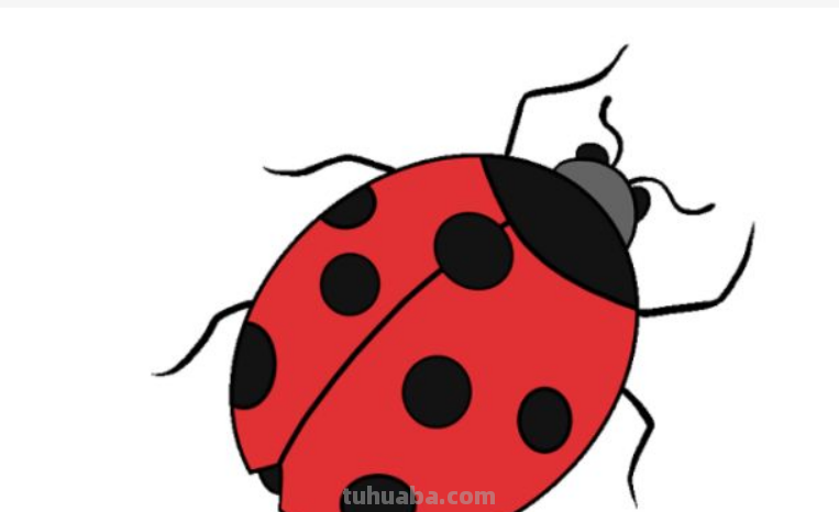七星瓢虫的画法