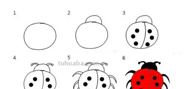 七星瓢虫的画法