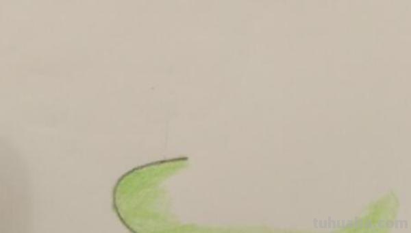 森林怎么画简笔画 简笔画树林的画法？