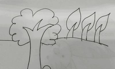 森林怎么画简笔画 简笔画树林的画法? 森林怎么画简笔画 简笔画树林的画法?