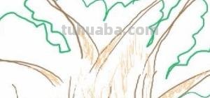 森林怎么画简笔画 简笔画树林的画法? 森林怎么画简笔画 简笔画树林的画法?