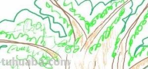 森林怎么画简笔画 简笔画树林的画法? 森林怎么画简笔画 简笔画树林的画法?