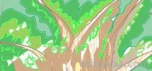 森林怎么画简笔画 简笔画树林的画法? 森林怎么画简笔画 简笔画树林的画法?