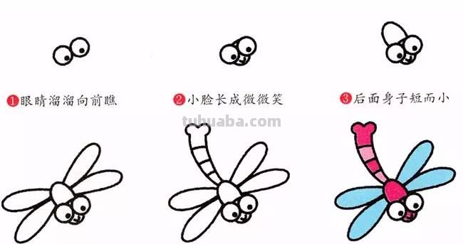 1分钟简笔画教程，教你画出一部《昆虫记》