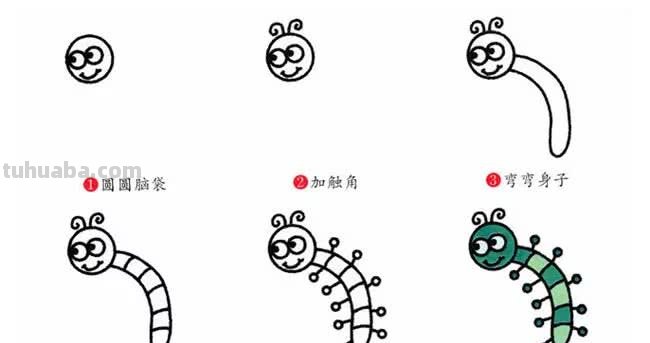 1分钟简笔画教程，教你画出一部《昆虫记》
