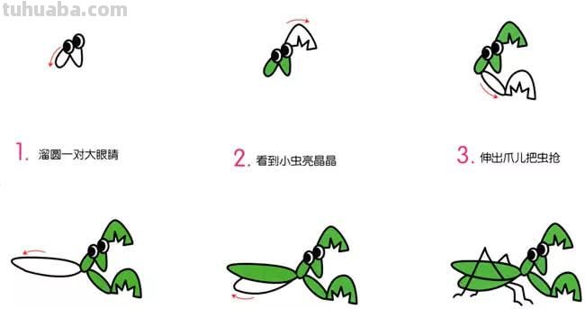 1分钟简笔画教程，教你画出一部《昆虫记》