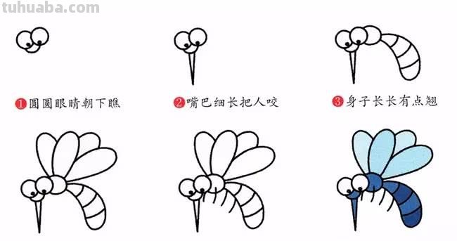 1分钟简笔画教程，教你画出一部《昆虫记》