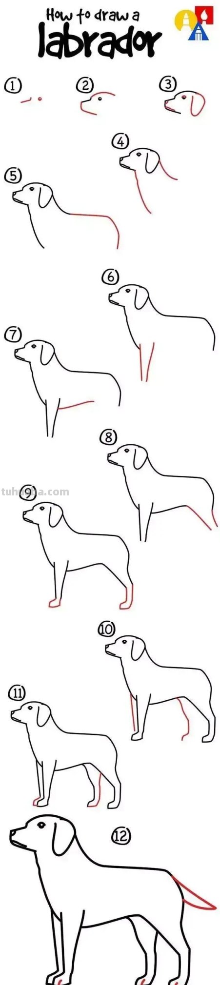 20多种动物与昆虫的简笔画画法，太全太详细了吧