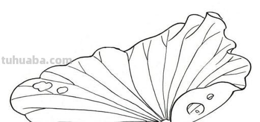 树叶的简笔画怎么画?