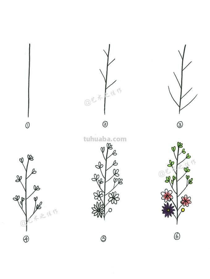 很详细的植物简笔画教程~手残党接招！来~动手画起来吧~