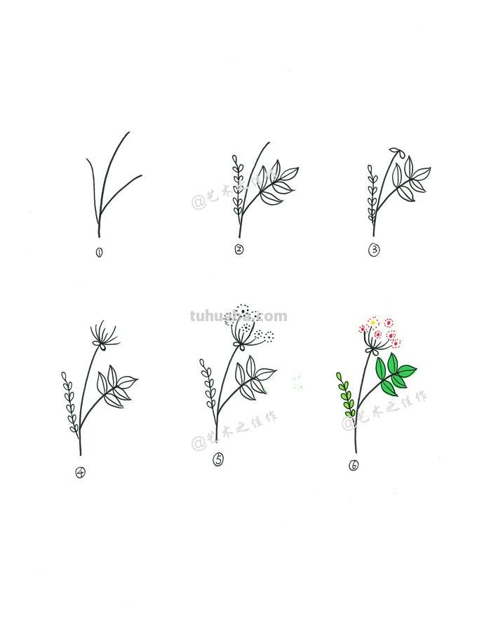 很详细的植物简笔画教程~手残党接招！来~动手画起来吧~