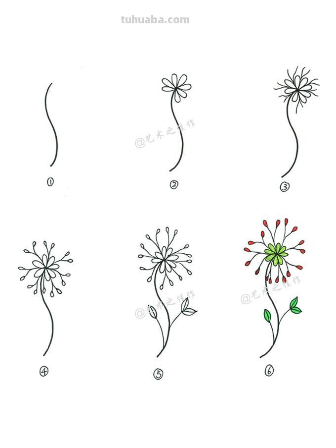 很详细的植物简笔画教程~手残党接招！来~动手画起来吧~