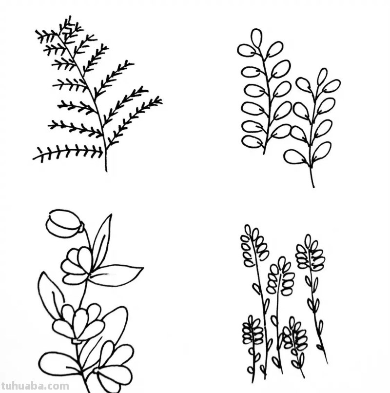一套常用的植物简笔画，非常适合零基础临摹学习！