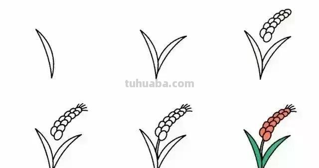 9种植物简笔画，超简单，一学就会，还能教孩子认植物