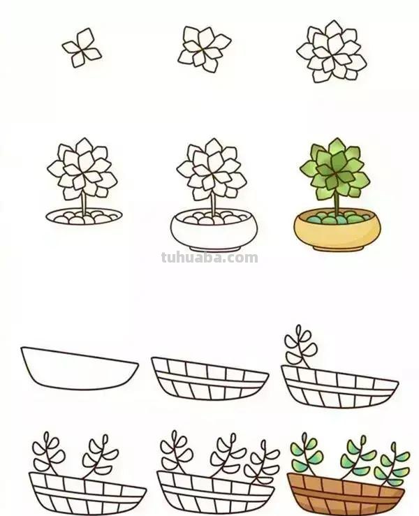 9种植物简笔画，超简单，一学就会，还能教孩子认植物