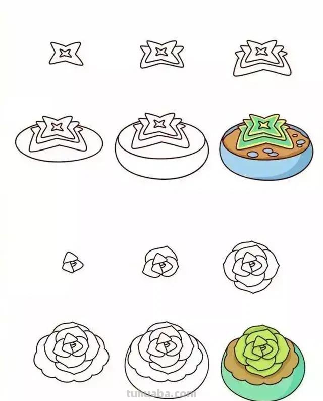 9种植物简笔画，超简单，一学就会，还能教孩子认植物