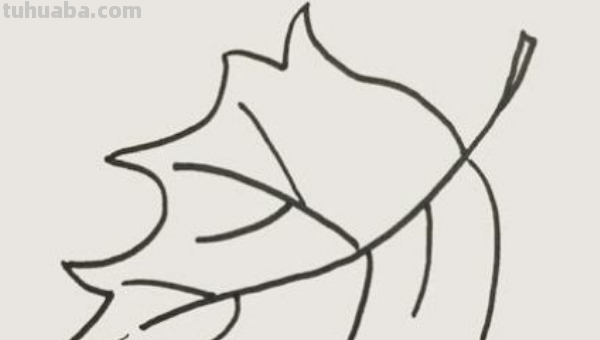 叶子怎么画简笔画 叶子怎么画简笔画