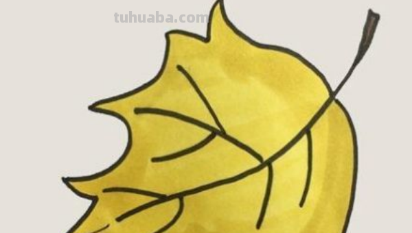 叶子怎么画简笔画 叶子怎么画简笔画