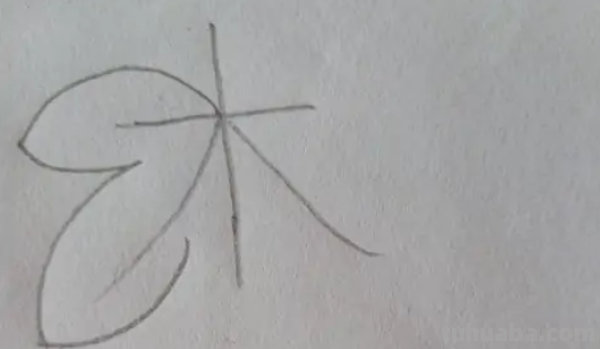 树叶怎么画简笔画 树叶怎么画简笔画
