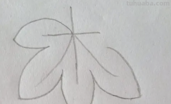 树叶怎么画简笔画 树叶怎么画简笔画