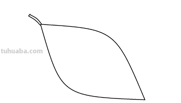 怎样画树叶 怎样画树叶